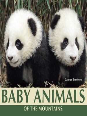 cover image of Baby Animals of the Mountains